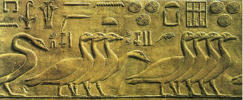 Bassorilievo della tomba di Ptah-hotep